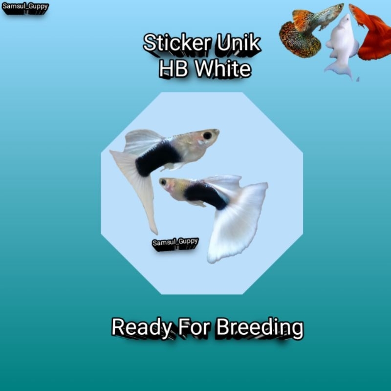 

PROMO STICKER UNIK HB WHITE