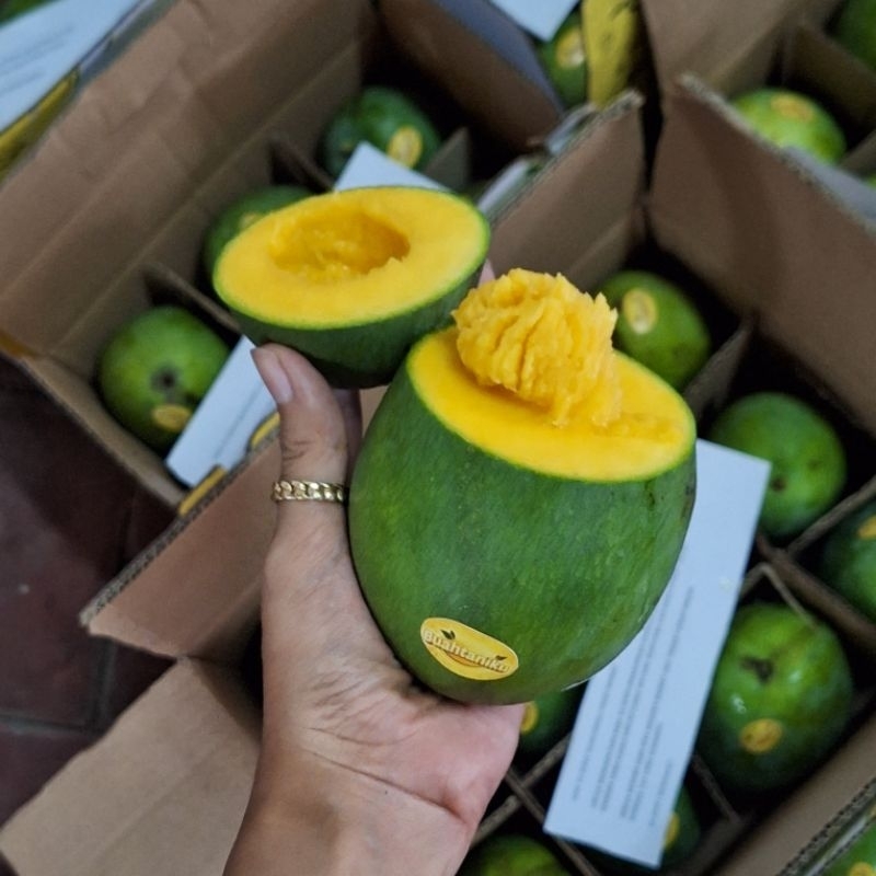 

5KG BOX Mangga HARUM MANIS SUPER isi 10-12 mangga