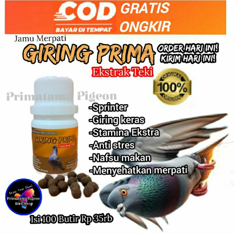 Jamu Merpati Giring Prima ekstrak Teki 100 butir Jamu Merpati Kolong Bebas Meja balap Tomprang Ff Ja
