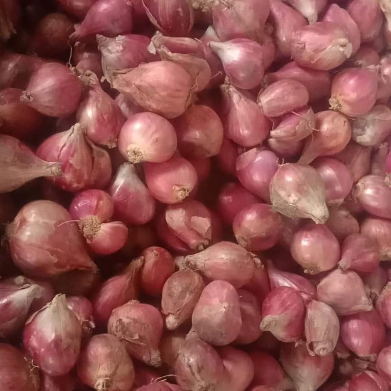 

Bawang merah Brebes(500g)