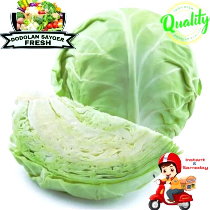 

Kulbis/Sayur kol Fresh pilihan