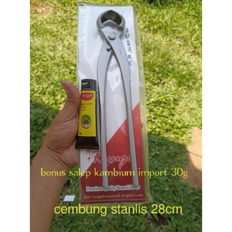 ALAT BONSAI CATOK CEMBUNG STANLIS 28 CM RYUGA JAPAN