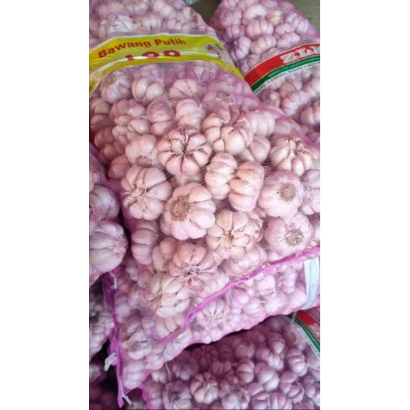 

GROSIR BAWANG PUTIH 500 GRAM