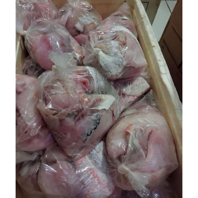 

GROSIR TETELAN KAKAP 1 KG
