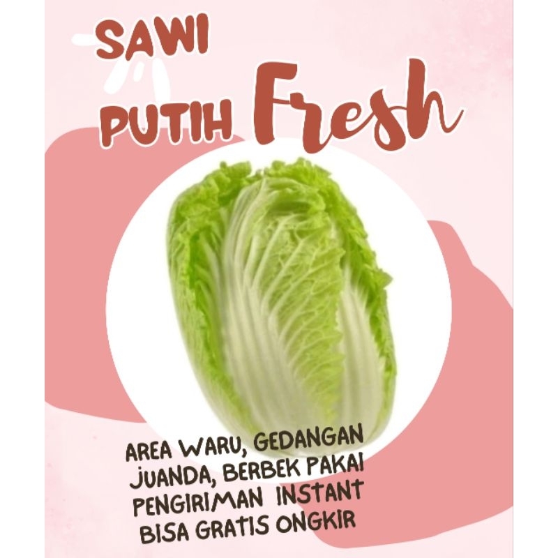 

Kirim besok sawi putih 500gr