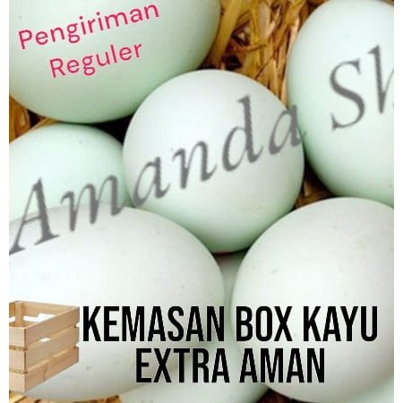 

Telur BEBEK mentah Murah langsung dari kandabg gratis Kemasan extra aman