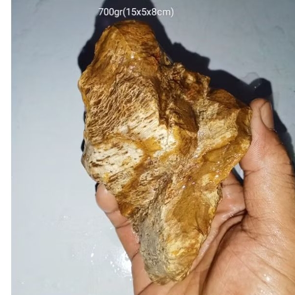 batu akik bahan fosil aren (811)