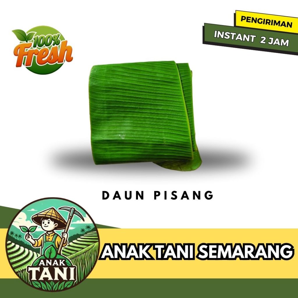 

[ANAK TANI] DAUN PISANG PER 3 LEMBAR SIAP KIRIM INSTANT AREA SEMARANG