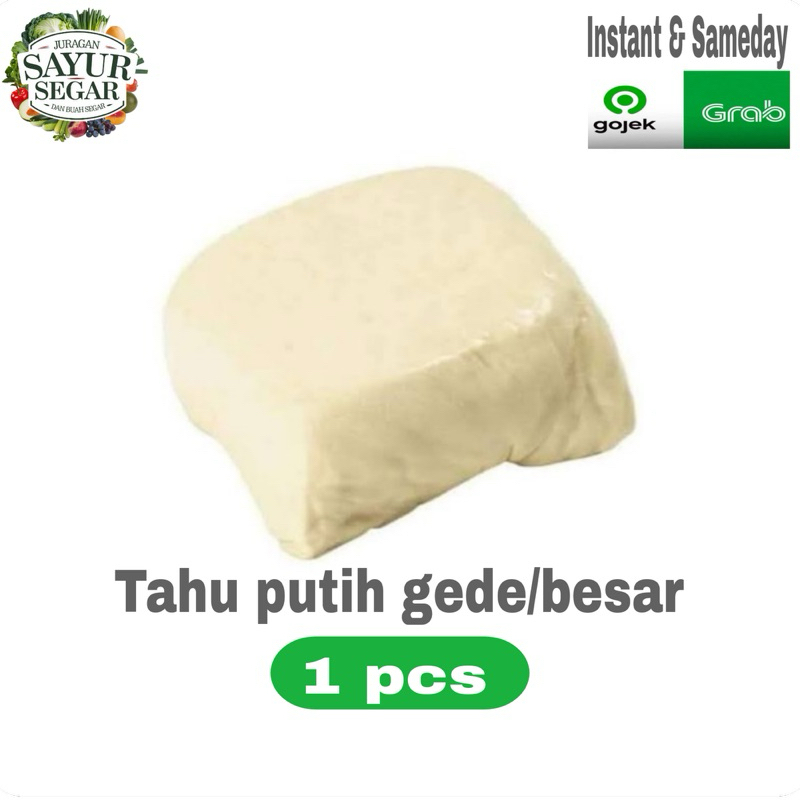 

TAHU putih besar/gede 1pcs