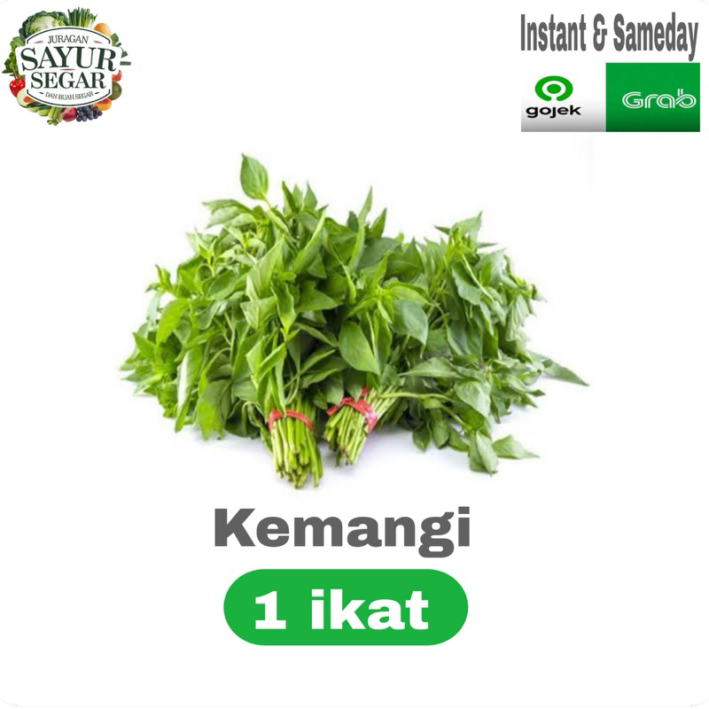 

Sayuran KEMANGI murah 1 ikat