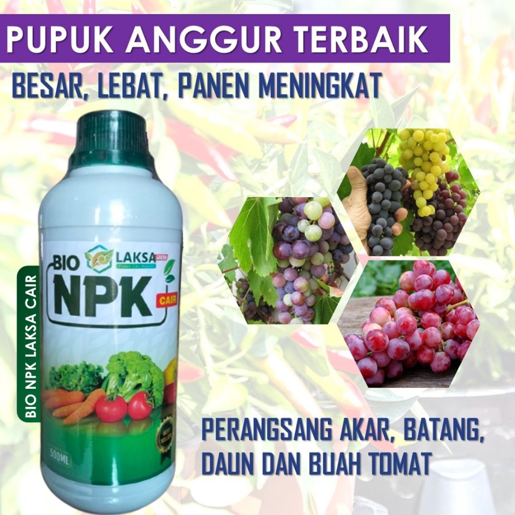 500 ML OBAT PELEBAT TANAMAN Buah Anggur BIO NPK LAKSA GROW - OBAT PENYUBUR Buah Anggur, Pupuk Perang