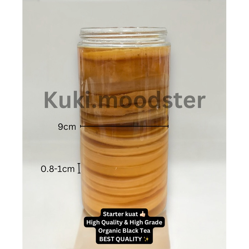 

Bibit Starter Scooby Kombucha Premium Organik kualitas terbaik high quality black tea best quality