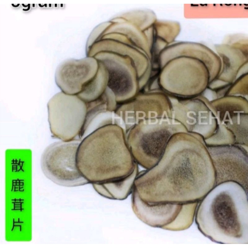 

+ Shan Lu Rong Pian 5 Gram 散鹿茸片 Deer Velvet Slice (Grade B) - meningkatkan stamina