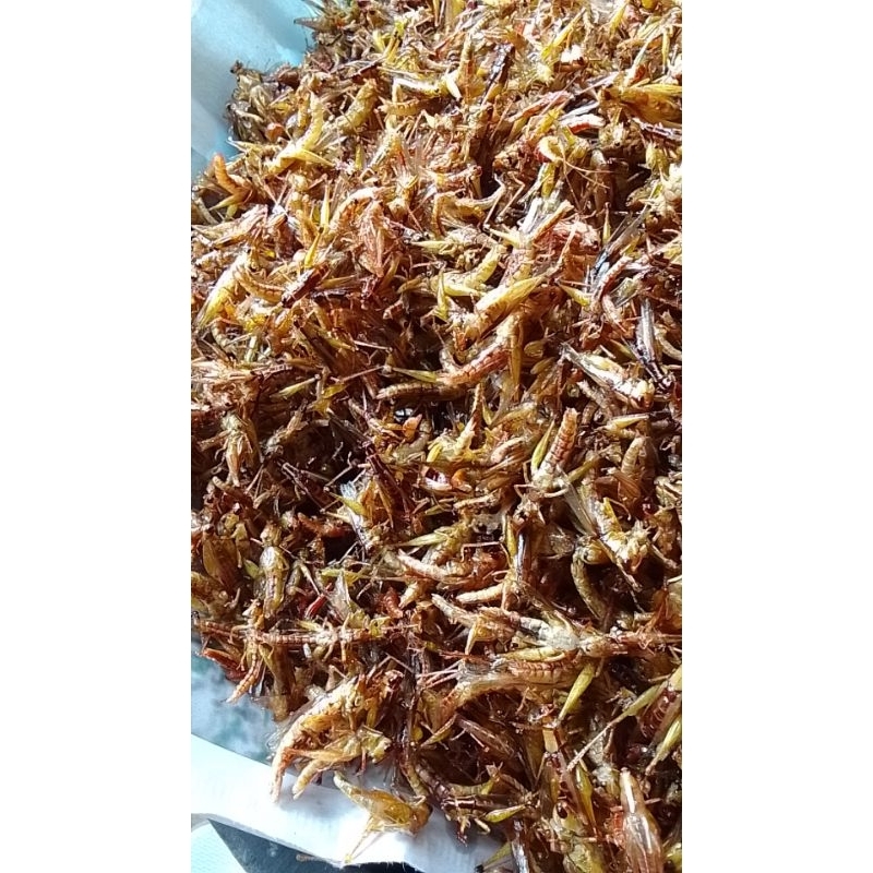 

belalang goreng kemasan 1kg murah banget