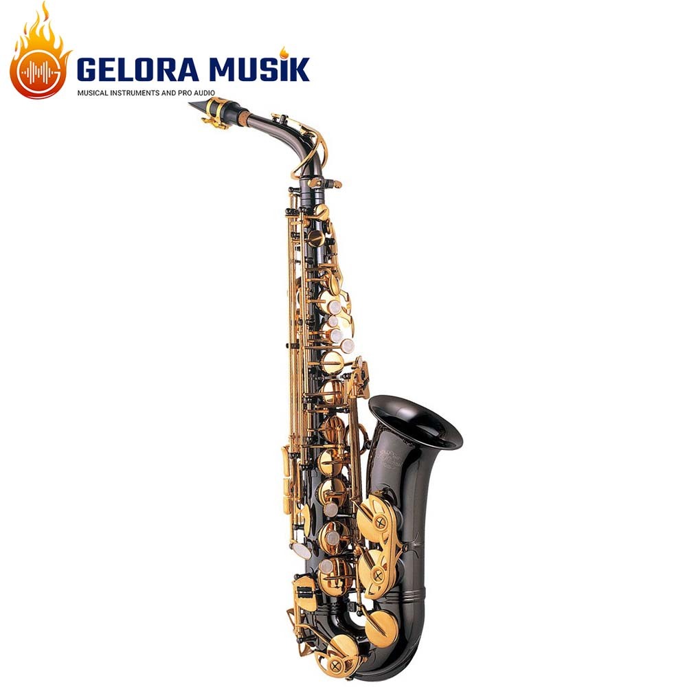 Alto Saxophone J.Michael AL-800BL