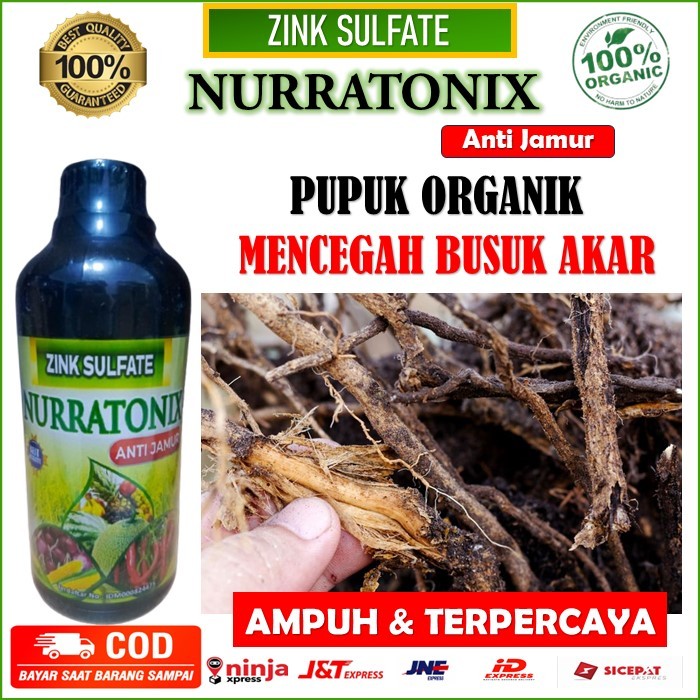 ZINK SULFATE NURRATONIX ANTI JAMUR mencegah busuk akar, pupuk organik atasi busuk akar padi, tomat, 