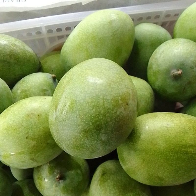 

mangga madu