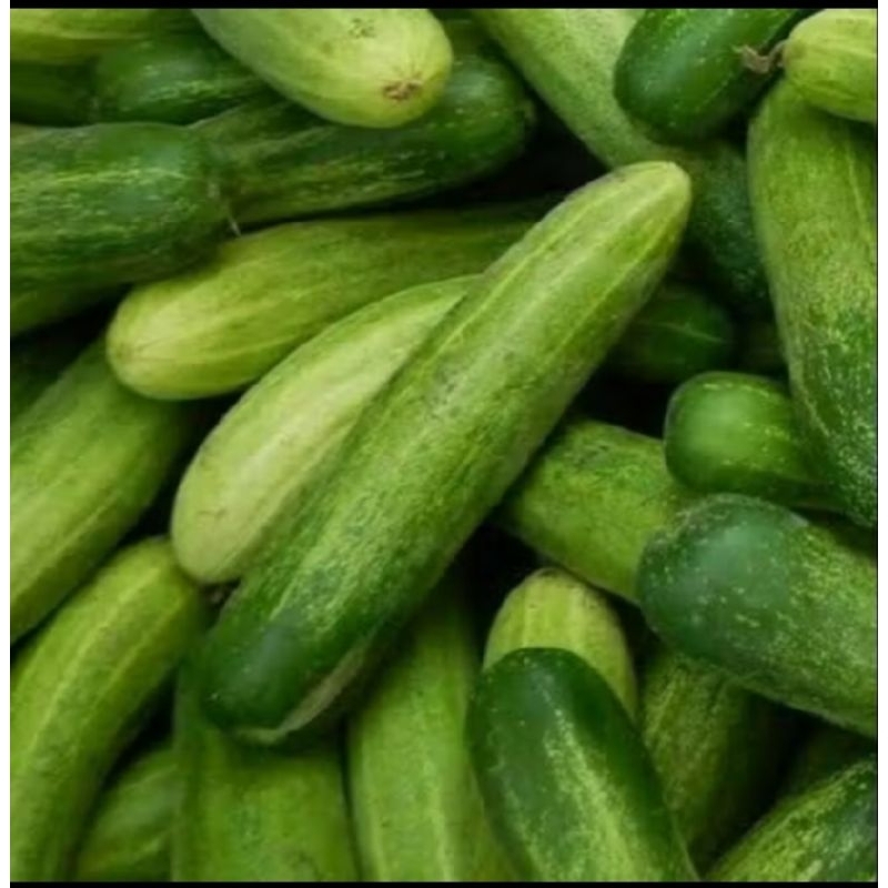 

timun