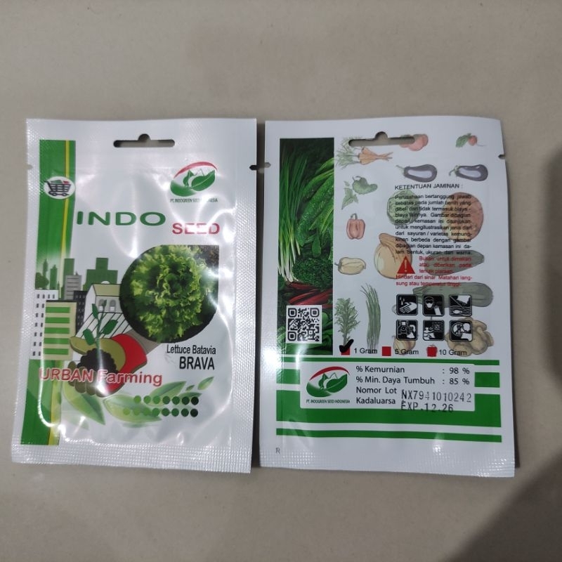 Benih Selada Brava 1gr selada batavia