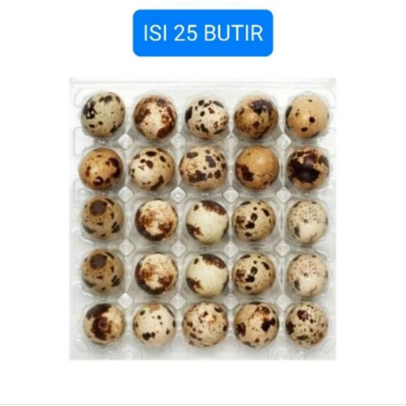 

AL10-Telur puyuh mentah fresh premium isi 25 butir,telur puyuh langsung dari kandang termurah