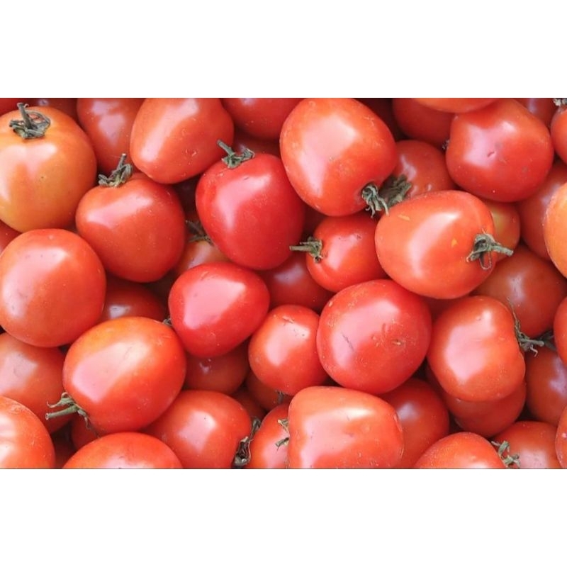 

Tomat 250gr