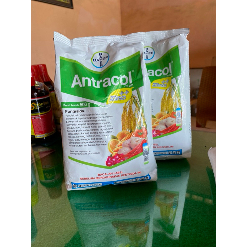 Antracol 500gr/ fungisida Antracol 500gr / pembasmi jamur tanaman