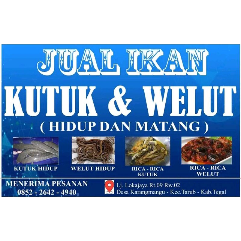 

WELUT ( BELUT SAWAH ) , SIAP GORENG