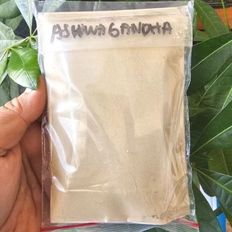 

Bubuk Aswaganda Murni - Bubuk Gingseng India