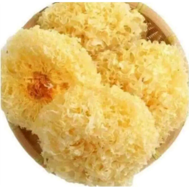 

309 Terjual Jamur Salju / Jamur Putih / Snow White Fungus Kemasan 100g