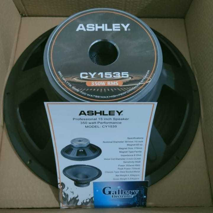 Speaker Ashley 15" CY1535 Professional 15 inch Original CY 1535