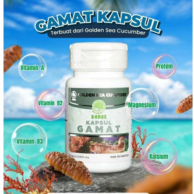 KAPSUL GAMAT EMAS / TERIPANG EMAS ORIGINAL