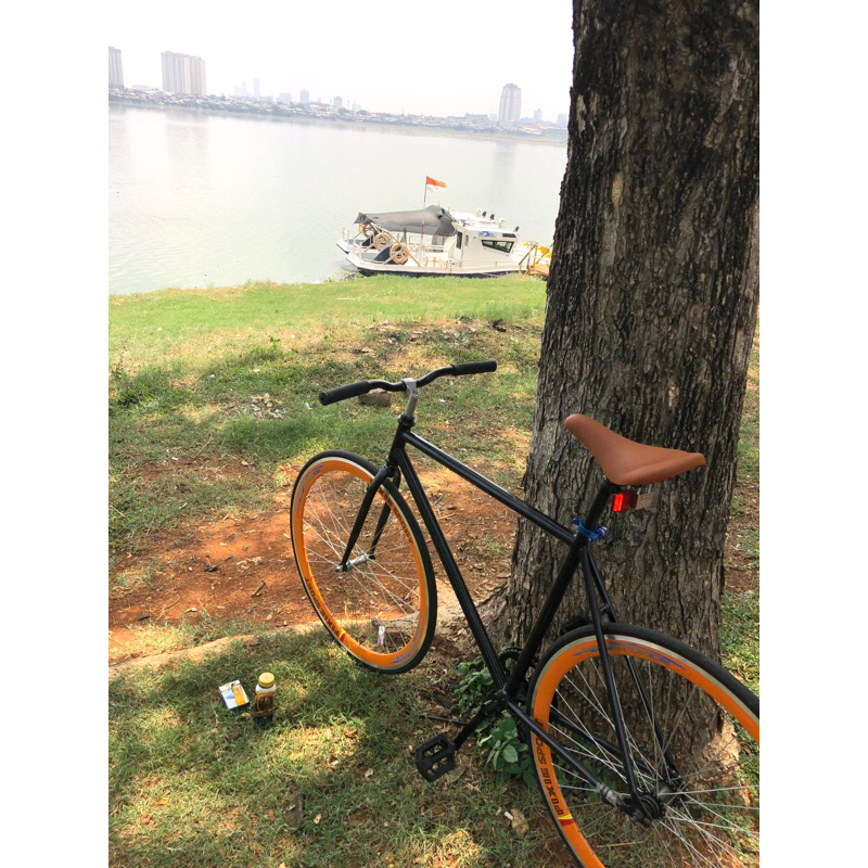 Fixie soloist 01