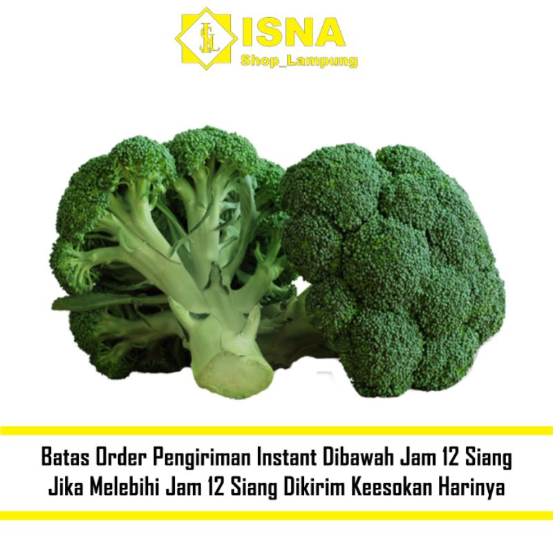 

Brokoli Hijau Segar - Sayur Fresh