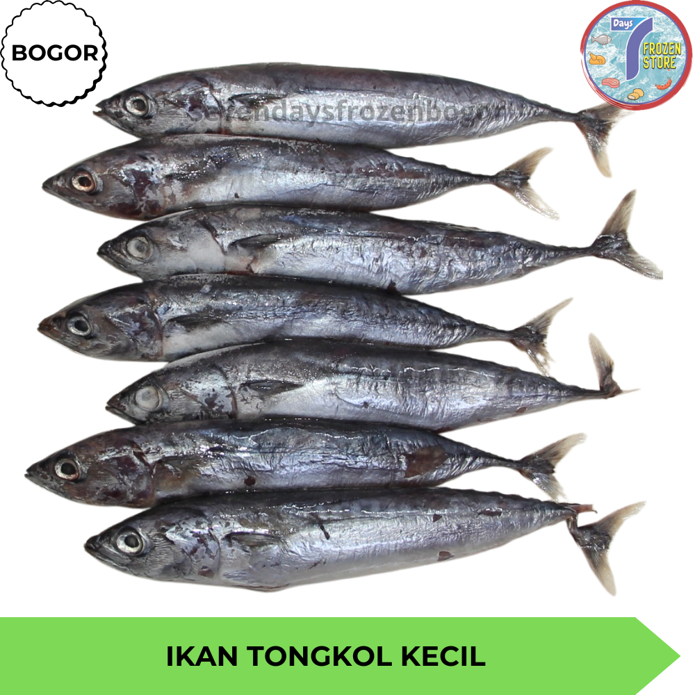 

Ikan Tongkol Kecil | Deho Utuh Beku Frozen 1 kg