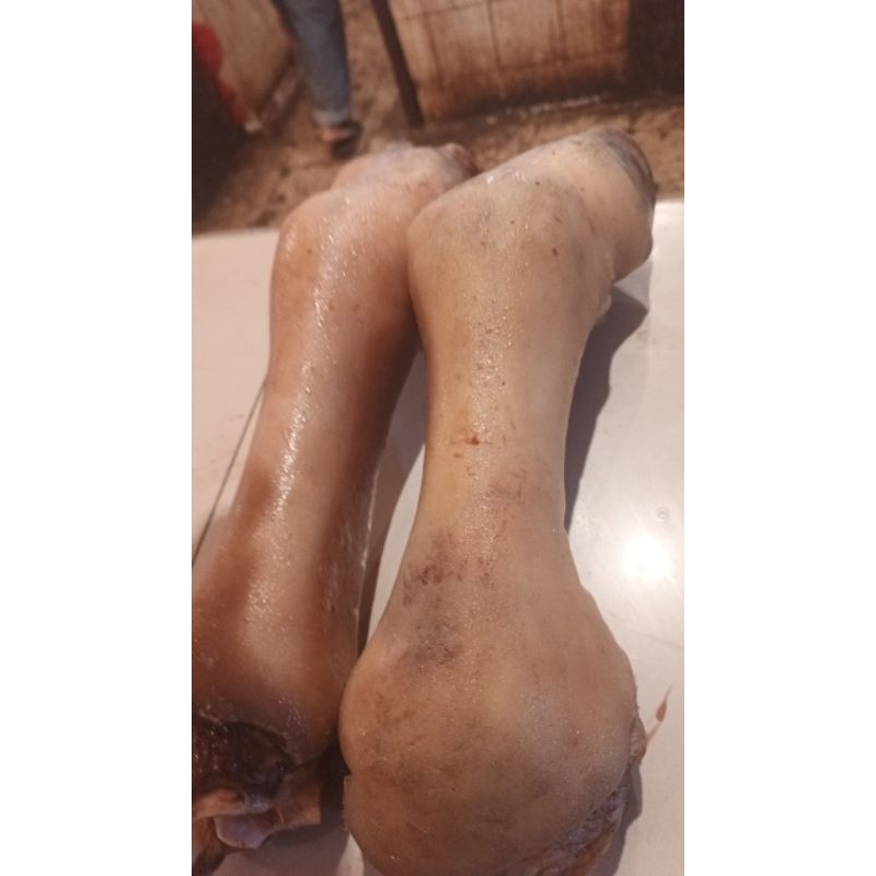 

Kaki Tunjang Sapi