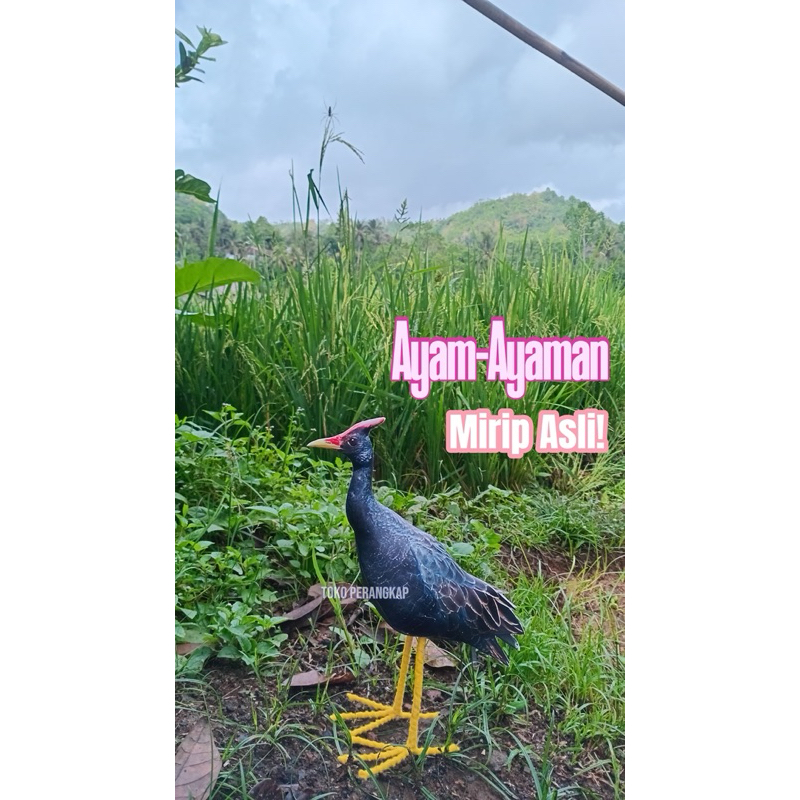 Patung Burung Ayam-Ayam / Jontrot Ayam Ayaman