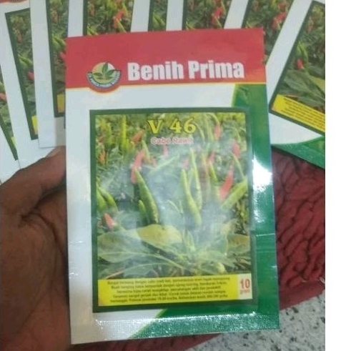 

BENIH CABE RAWIT HIJAU V46/RAWES SUPER TAHAN VIRUS DAN LEBAT 10 GRAM