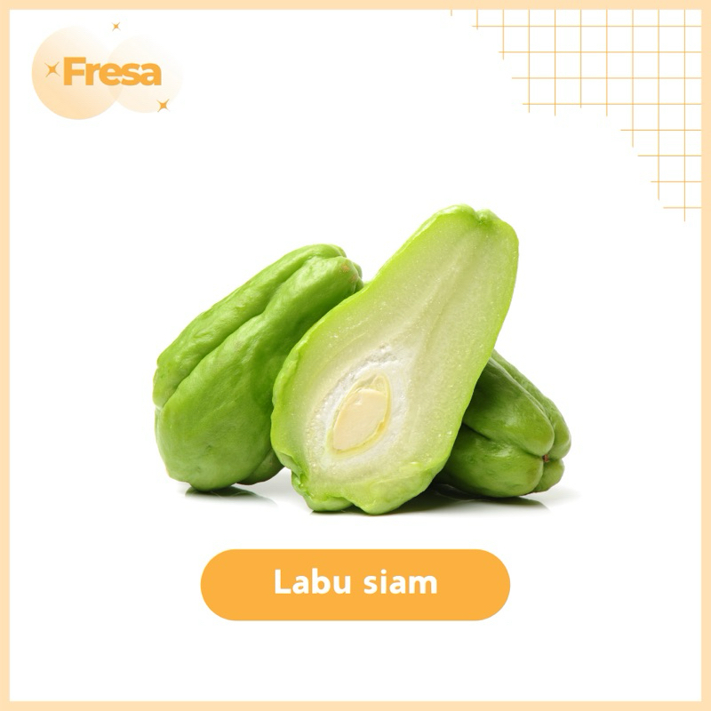 

Sayur Labu Siam Super Fresh & Sehat | Fresa Mart