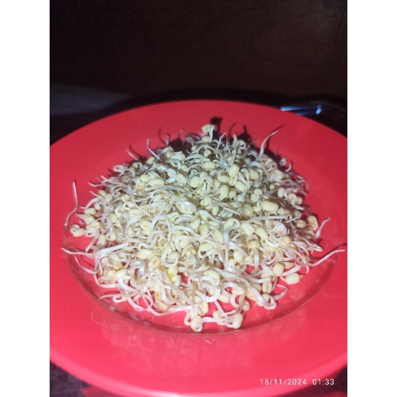 

TOGE SAYUR / CAPAR KACANG HIJAU / KECAMBAH