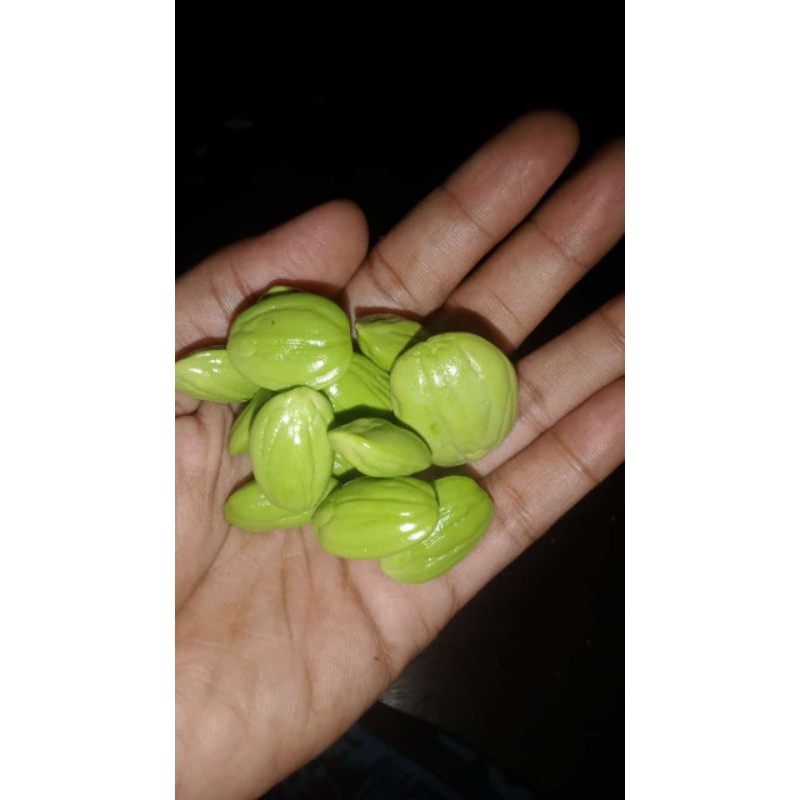 

Pete kupas kwalitas super