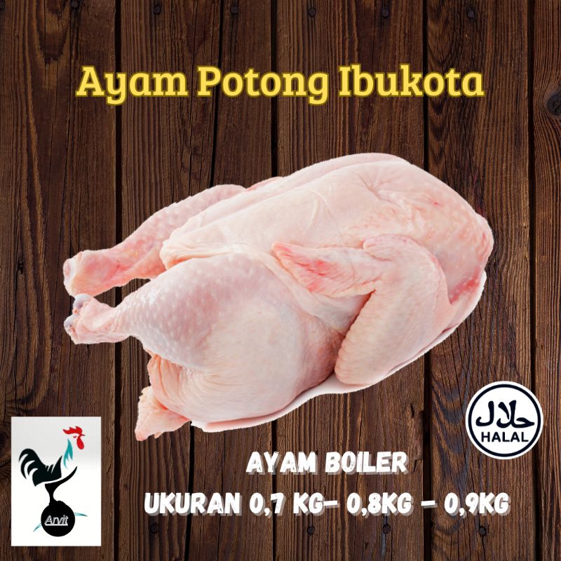 

Ayam Boiler 0,7-0,8-0,9