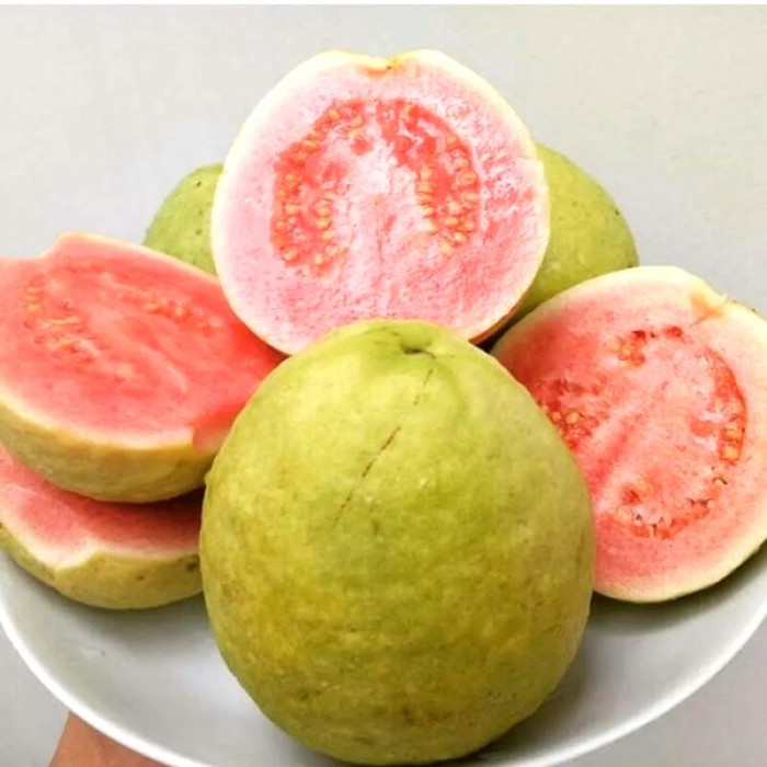 

Jambu Biji Merah