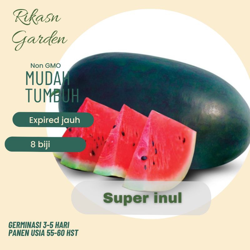 KHUSUS BATAM benih bibit biji semangka Inul