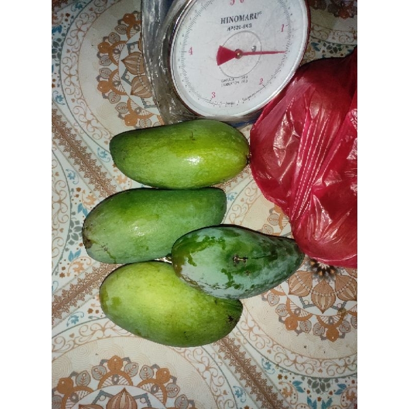 

mangga madu