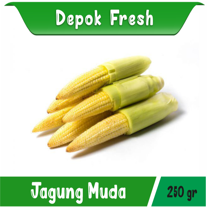 

JAGUNG BABY / PUTREN JAGUNG MUDA SEGAR