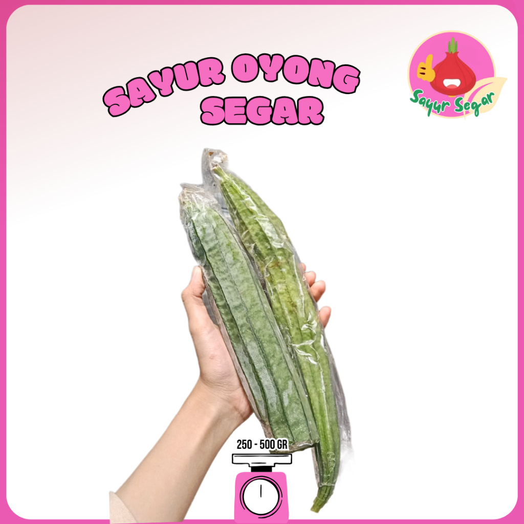 

Sayur Segar - Oyong Segar / Ridge Gourd