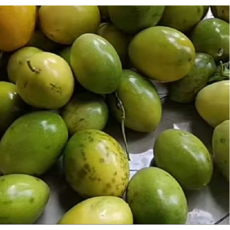 

Buah markisa kuning segar tarlaris 1kg kaya vitaminc