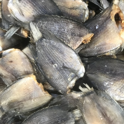 

Ikan Asin / Maco Sapek Gadang 1kg Asli Bukittinggi