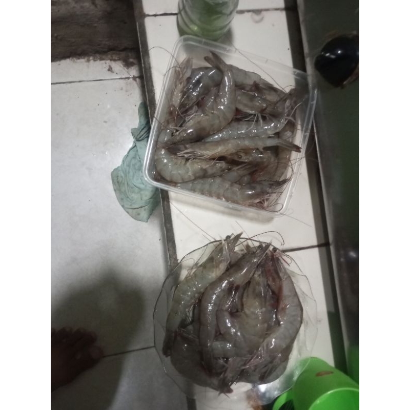 

udang siap saji
