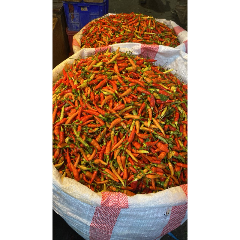 

Cabe rawit pedas 500gram